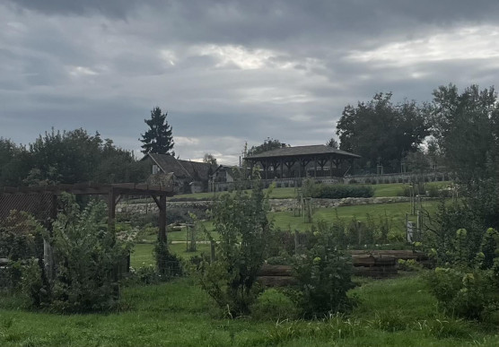 Hadházy: Az Orbánék felcsúti háza melletti két telek is az övék