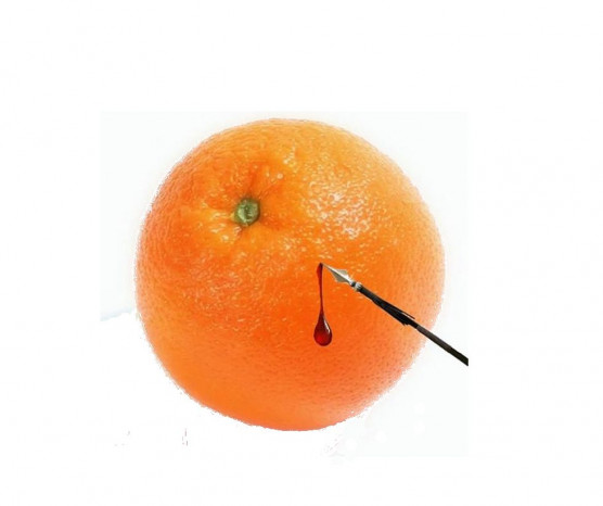 Munkatársunktól – Selmeci János jegyzete