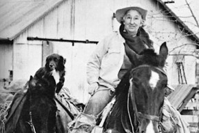 A döntések joga és felelőssége