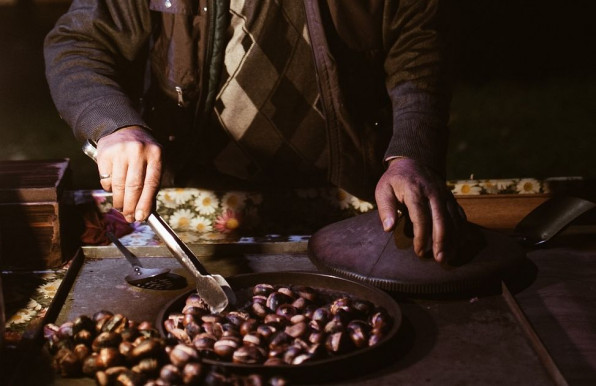 Gesztenye – Józsa Márta jegyzete