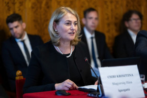 A Magyarság Háza igazgatóját indítja a Fidesz a tolnai időközi választáson