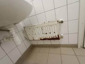 Újabb drámai képeket tett közzé Magyar Péter, most a tiszadobi gyerekotthonról