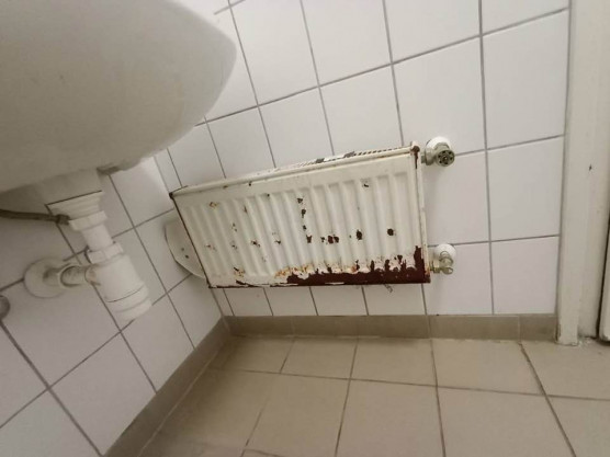 Újabb drámai képeket tett közzé Magyar Péter, most a tiszadobi gyerekotthonról