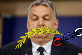 Se nem béke, se nem misszió - Hardy Mihály jegyzete