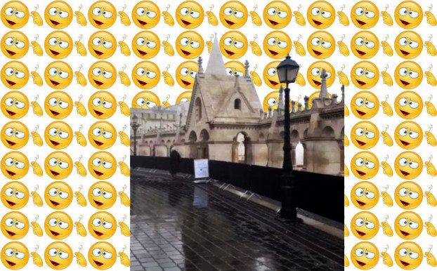 A leghülyébbek közülünk – Selmeci János jegyzete  