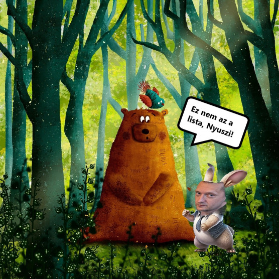 Ez nem a medve listája - Rózsa Péter jegyzete