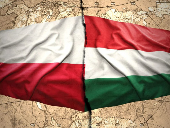 A lengyel-magyar barátság eróziója - Kárpáti Iván jegyzete