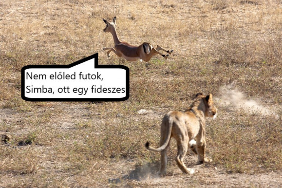 Egy kivégzett impala balladája - Dési János jegyzete