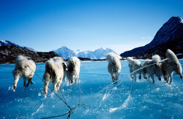 Nem eszik olyan forrón a grönlandi kását