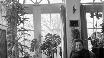 Legyen alkotóház a Gobbi-villa! – követelik a Nemzet Színészei