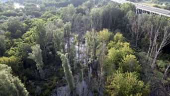 Elpusztítanák a hódok életterét a Rákospalotai-lápon