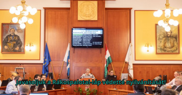 Védetté nyilvánítaná a rákospalotai lápot, a hódok élőhelyét a kerületi önkormányzat