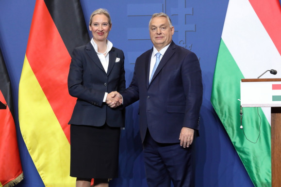 Orbán az AfD összes programpontjával egyetért