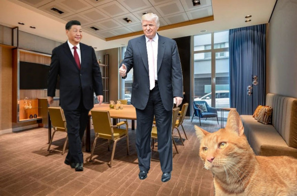 Tíz évvel később, egy mondatban – Selmeci János jegyzete