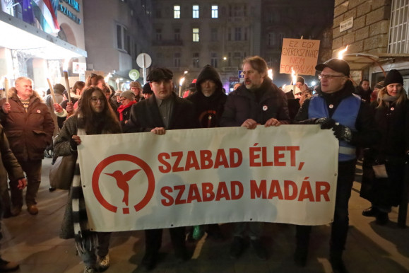 Harmincan felmondtak a Kolibriben az új igazgató miatt