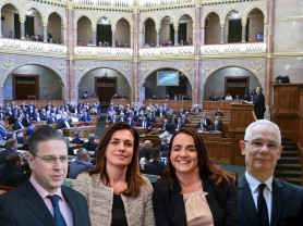 A mi kutyánk kölyke - Rózsa Péter jegyzete