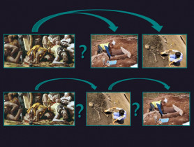 Mi az a bioszociális régészet?