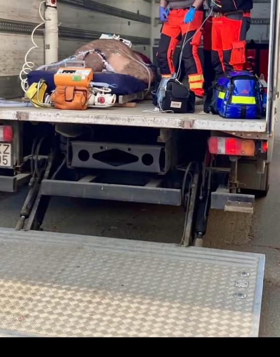 Platós teherkocsival vittek kórházba egy beteget Budapesten