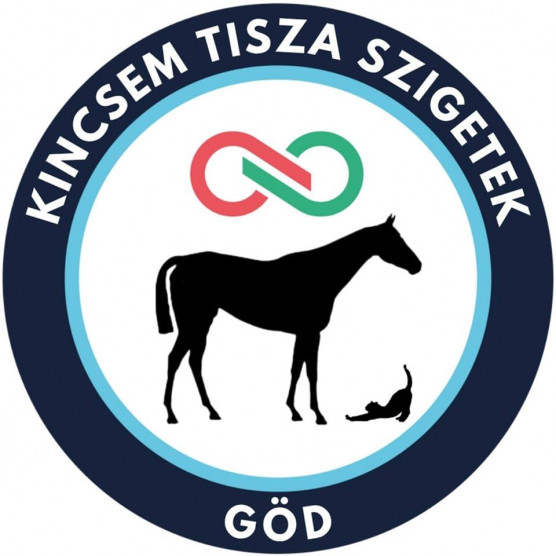 Beidéztek gödi tiszás aktivistákat, mert használják a város nevét