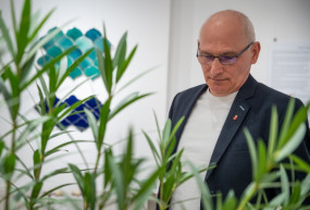 Kimaradt a 637 négyzetméteres gyümölcsös besorolású ingatlan a vagyonnyilatkozatból