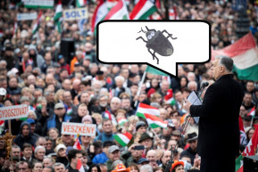 Elkezdik az áttelelt poloskák kitakarítását a putyinizálódó Magyarországon