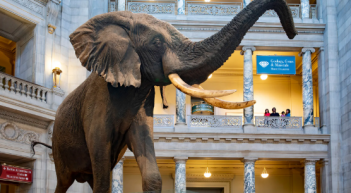 Trump megbízta a JD Vance-t, vágjon rendet a Smithsonian múzeumokban