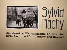 Sylvia Plachy a Café Péntekben