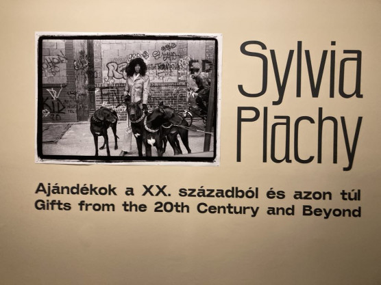 Sylvia Plachy a Café Péntekben