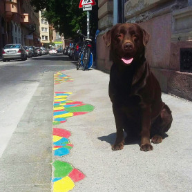 Kutyika Kutyit választotta miniszterelnök-jelöltnek a Kutya Párt 