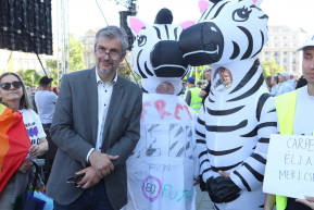 Mészáros Lőrinc lánya lezáratná a hatvanpusztai utat, ahonnan rálátni a zebrákra