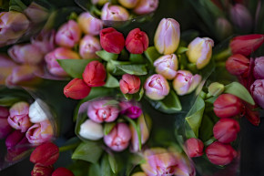 Rogán minisztériuma nőnapi csokrokra milliókat, magyarnóta-versenyre százezreket költött