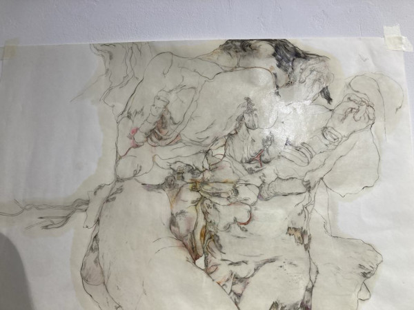 Az átalakulás fiziológiája