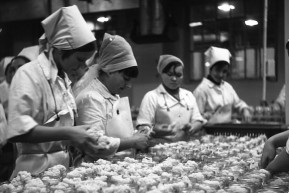 Anno Budapest: Darabbér