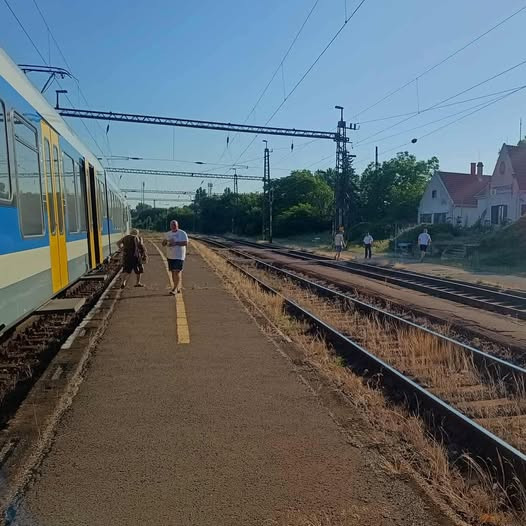 Nem bírta a gyűrődést, pisiszünetet tartott az expresszvonat Szabadbattyánnál