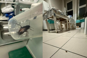 Kulja: A kórház válasza a kommunista időket idézi