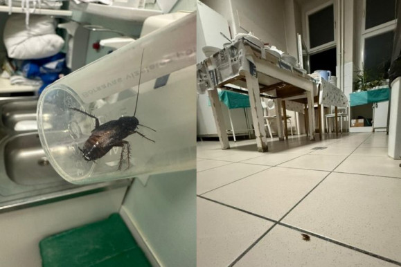 Kulja: A kórház válasza a kommunista időket idézi