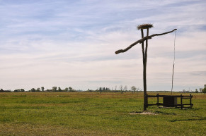 Délibábok – Józsa Márta jegyzete