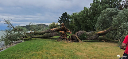 MVM: 150 ezer címen ment el az áram