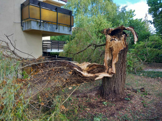 Budapesten a külső kerületekben pusztított leginkább a vihar, ami a Dunántúlt is megtépázta