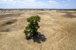 Aszály: nem lehet fenntartani azt a fajta termelési szerkezetet, amihez hozzászoktunk