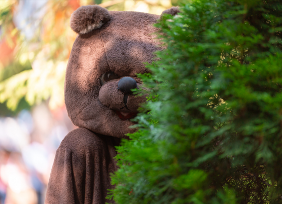 Magyar Péter elmenne Tusványosra, de nem hívták