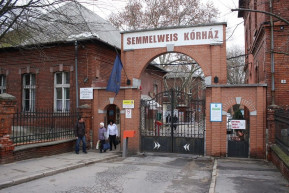 Úgy érzik, ha életben akarnak maradni, fizetniük kell 