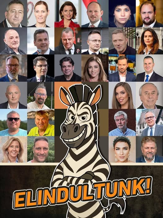 Bayer Zsolt, Nagy Feró, Szijjártó és Tóth Gabi is csatlakozott Kocsis Máté ZEBRA-körös gondozóihoz