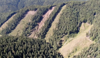 Tarvágás – Józsa Márta jegyzete