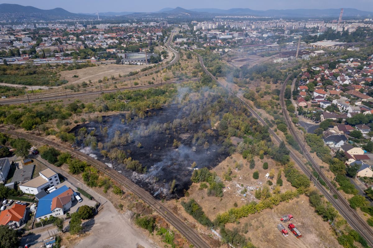 Kigyulladt az aljnövényzet Zugló és Rákospalota határán