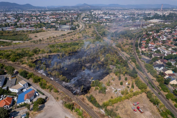 Öt hektáron égett az aljnövényzet Zugló és Rákospalota határán