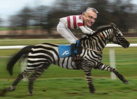 Zebra budapesti bevonuláshoz - Dési János jegyzete