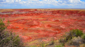 Tomaž Šalamun: Painted Desert