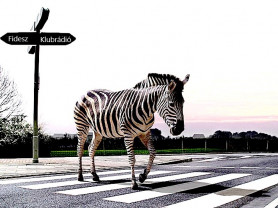 Vegyen ön is Klubrádiót! – Selmeci János jegyzete egy nem nemzeti konszenzusról