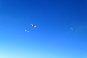 Orosz gépek közelítették meg a lett légteret, magyar Gripeneket is riasztottak